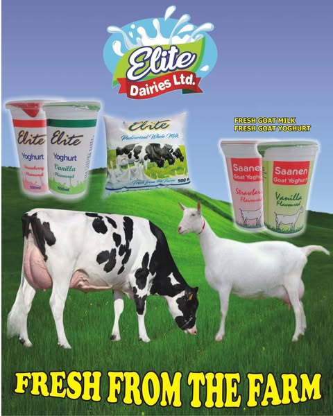 Dairy products