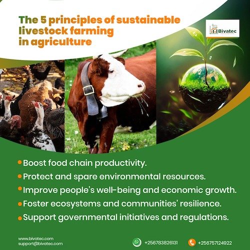 Sustainable farming