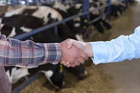 Business partnership